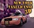 New York Taxi License 3D