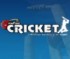 Online Cricket