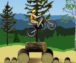 Stunt Dirt Bike